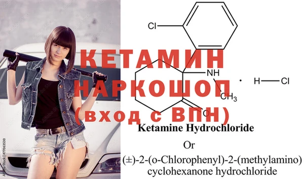 бошки Белокуриха